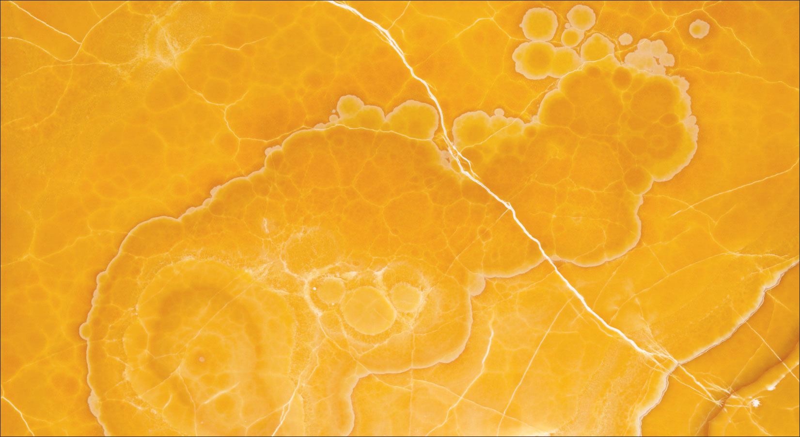 Travertine Stone Collection